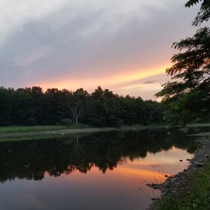 Meet your Posher, Joanne